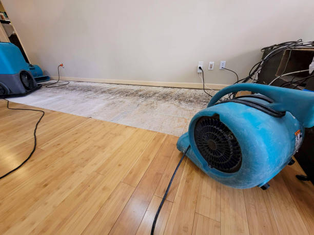 Professional Sewage Cleanup technician working in Lake, MS